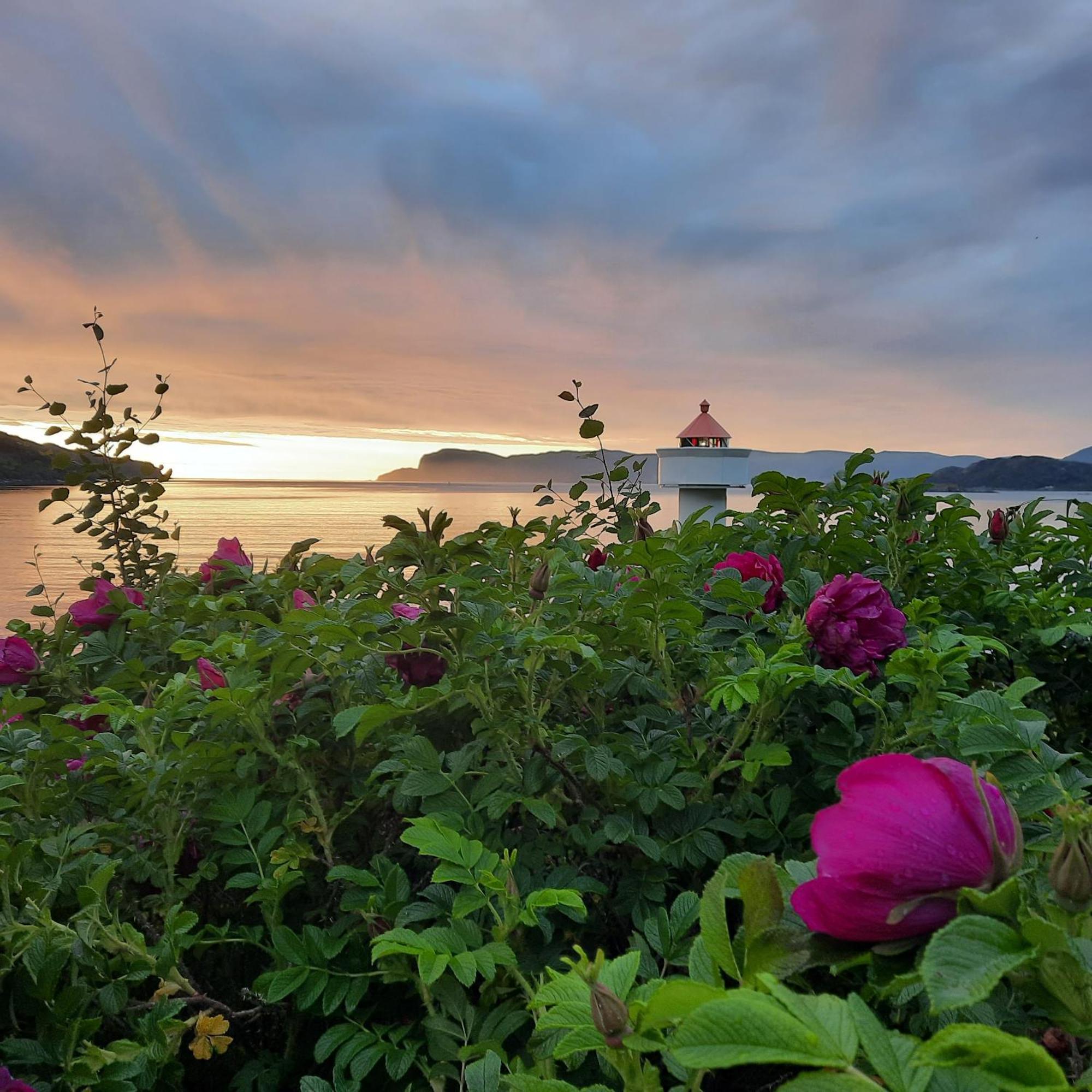 Ulvesund Fyr Bed and Breakfast Rödberg Εξωτερικό φωτογραφία