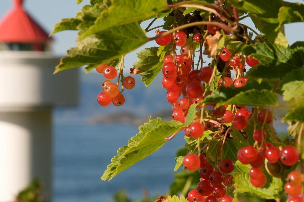 Ulvesund Fyr Bed and Breakfast Rödberg Εξωτερικό φωτογραφία